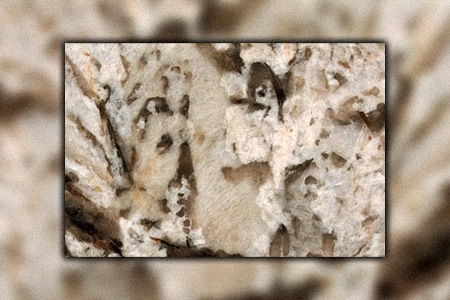 Bianco Antico Granite 