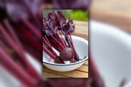 different types of beets, like bull's blood  develop smaller roots than any other beets