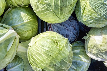 cabbages are considered as the closest alternatives to broccoli