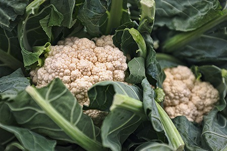 if you are looking for vegetables like broccoli, you can try cauliflower
