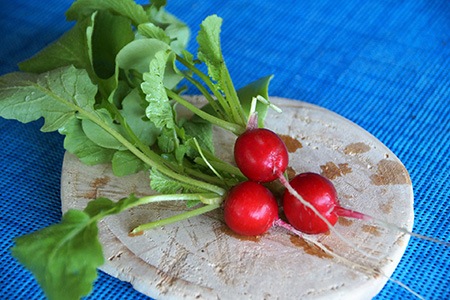 cherriette radish