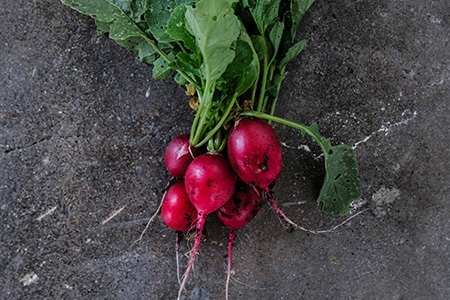 cherry belle radish is one of the most popular types of radish all around the world