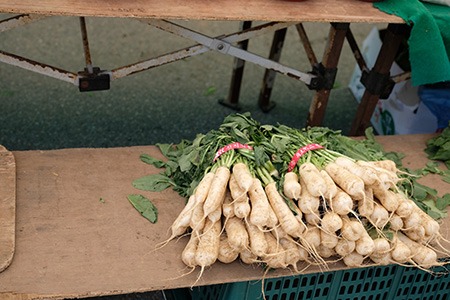 not all types of radishes are eaten for their taste; horseradish, for instance, is generally preferred as a medicine