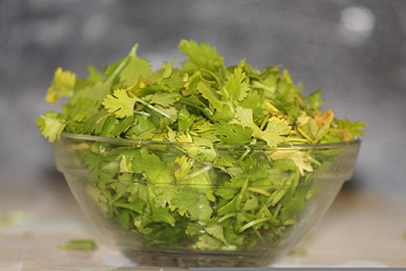 some types of cilantro are famous for their flavors and lemon cilantro is one of them with its heavy lemon flavor