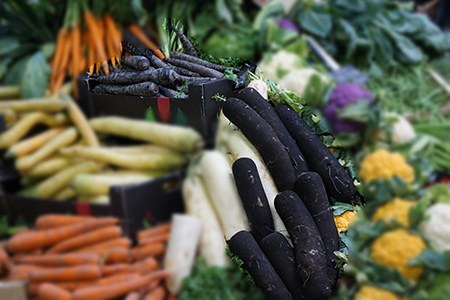 long black spanish radish