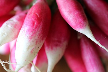 some radish varieties, like pink radish, perfect for salads