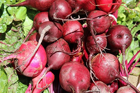 red beets are popular kinds of beets
