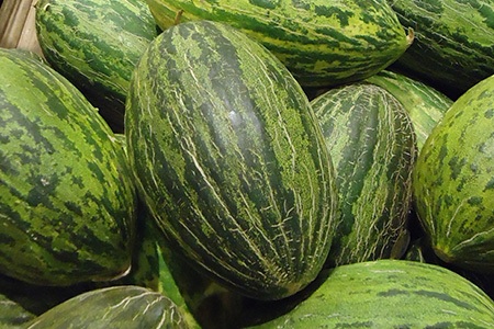 santa claus melon (or christmas melon)