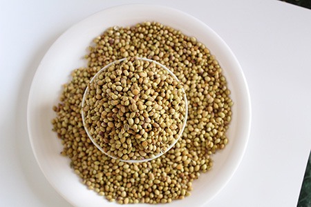 seed coriander