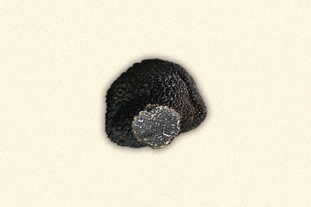 spanish black truffle