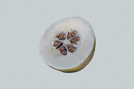 some types of melon, like sprite melon, does not grow too large