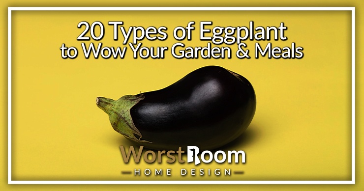 types of eggplant