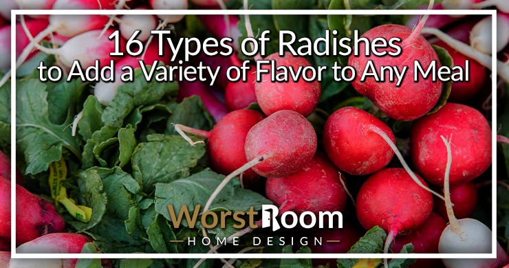 types of radishes