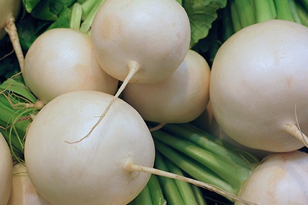 white hailstone radish