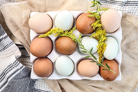 there are different kinds of eggs, like cage-free eggs, that come out from hens that can walk around the room