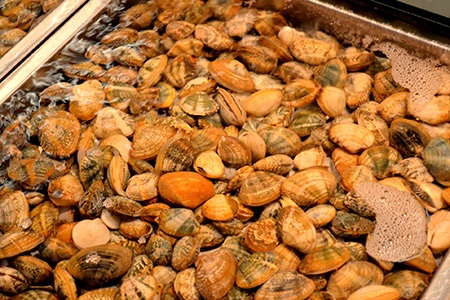 cherrystone clams