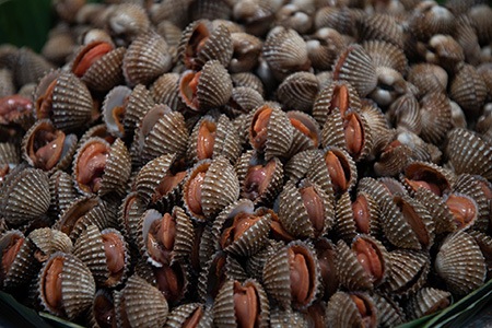 cockles are extremely delicious varieties of clams