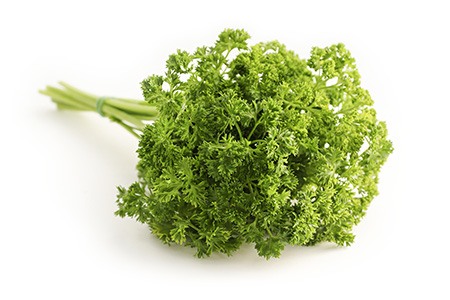 some parsley varieties, like curly leaf parsley, tastes milder than others
