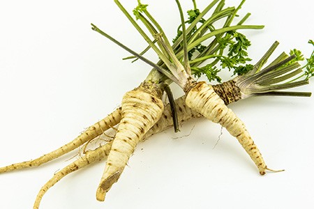 hamburg parsley is the most unique types of parsley due to its parsnip-like root