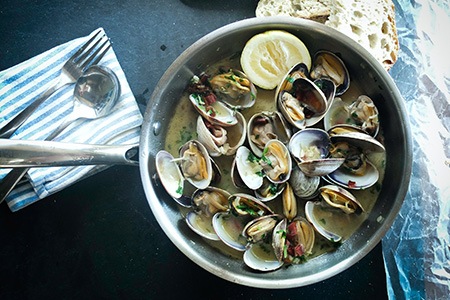hard shell clams are clam types with various subtypes