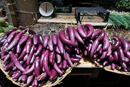 if you are looking for somewhat sweeter eggplant species, japanese eggplant is just for you