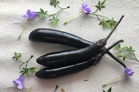 orient express eggplant