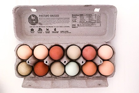 pasture-raised eggs