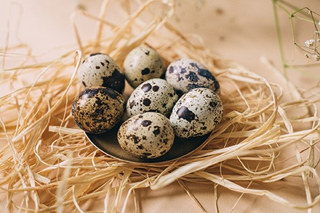 quail eggs