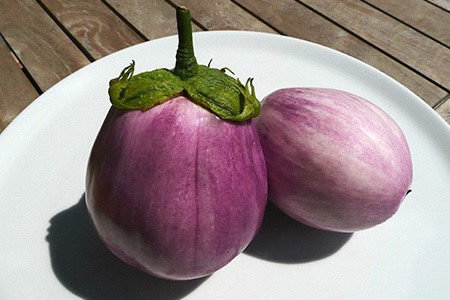 rosa bianca eggplant