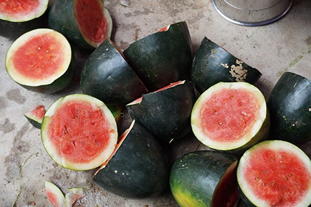 sugar baby watermelons is the sweetest varieties of watermelon
