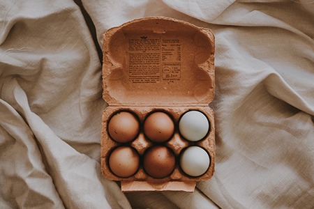 vegetarian eggs