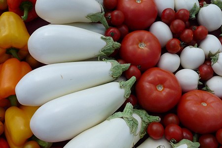 white eggplant