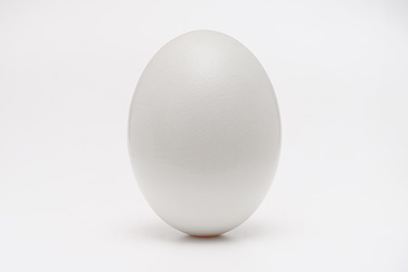among all types of eggs, white eggs (standard) are one of the most commonly found types