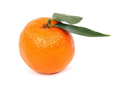 if you want different types of oranges that are seedless, you can try clementine