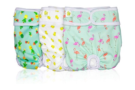 dog diapers