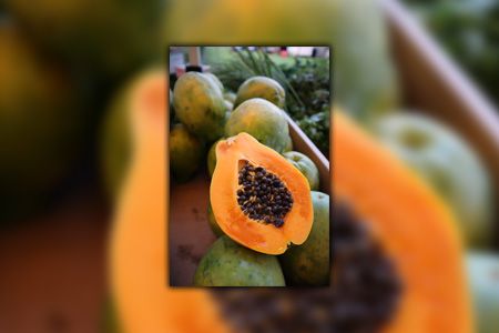 hawaiian sunrise papaya is one of the most tasteful papaya varieties with its sweet mix flavor of melon and berries