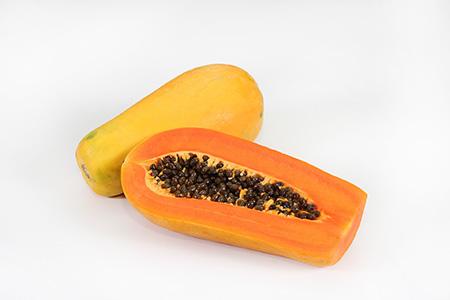 hortus gold papaya