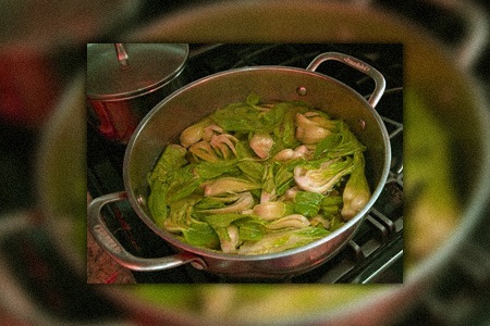 can you freeze bok choy? putting it into the freezer for long-term storage can be a good option for storing bok choy