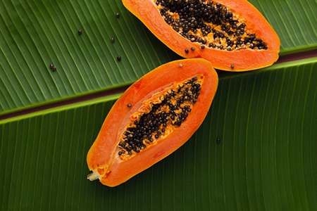 sunnybank papaya