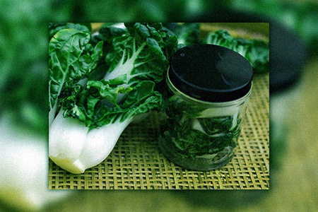 turning bok choy into pickle is a great answer for how to store baby bok choy