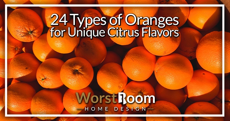 types of oranges