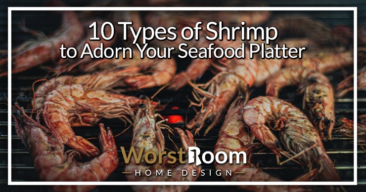 types of shrimp