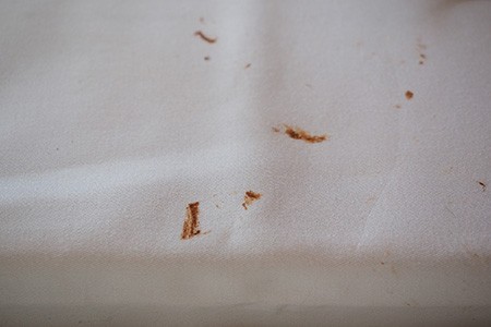 are chocolate stains permanent?
