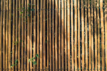 you can use bamboo fence for blocking neighbor's view