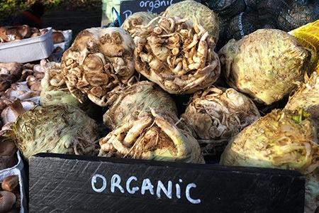 celery root can be the most suitable substitute for turnip
