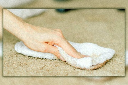 if you are wondering how to get coffee smell out of carpet? you must dillute & soak the coffee out immediately after spill