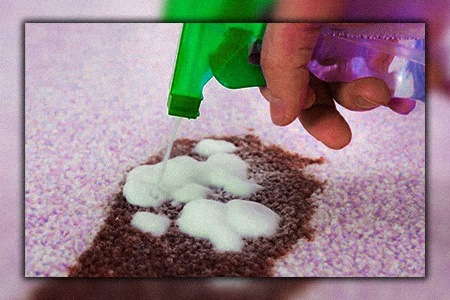 how to clean chocolate out of carpet using laundry detergent