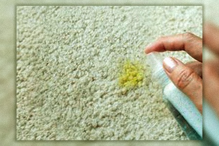 how to get a mustard stain out of carpet