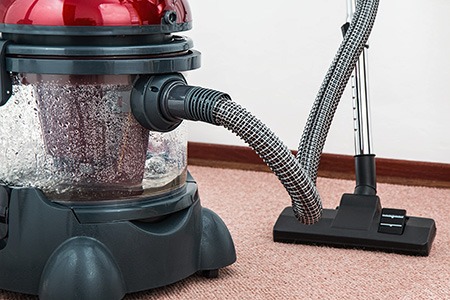 can you vacuum ants out of carpet? of course you can! we suggest you to keep your carpet clean to prevent ants coming in