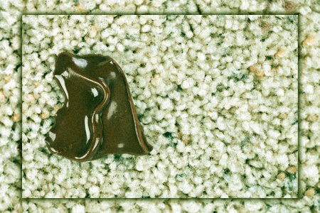 how to remove chocolate stains from carpet with spot remover & an iron